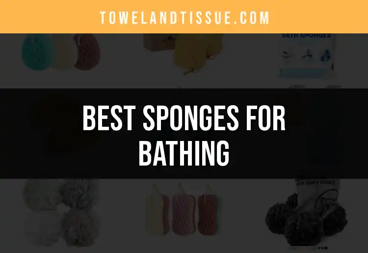 16 Best Sponges for Bathing to Elevate Your Shower Game